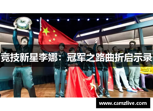 竞技新星李娜：冠军之路曲折启示录