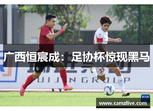 广西恒宸成：足协杯惊现黑马